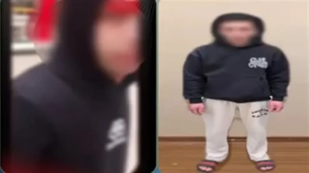 ضبط طالب بتهمة التحرش بفتاة ومحاولة سرقة هاتفها أثناء سيرها بالشارع